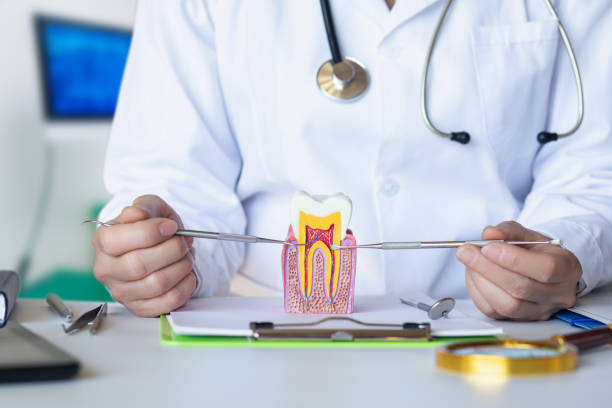 Best After-Hours Emergency Dentist in Wendell, NC